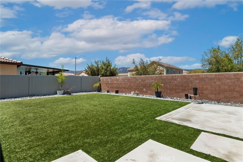 29271 Date Palm - photo 29