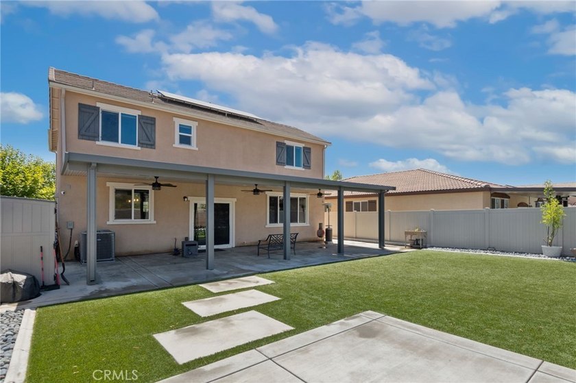 29271 Date Palm - photo 31