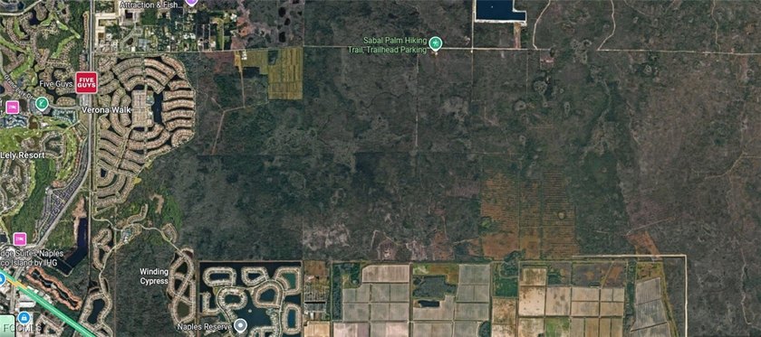 Your 5-Acre Sanctuary Awaits! Discover this secluded parcel - photo 8