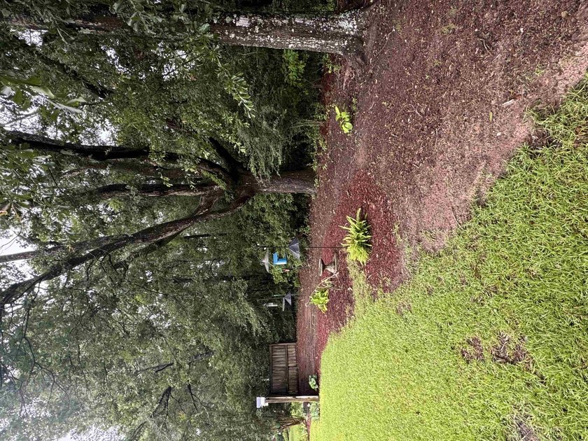 OPEN HOUSE! July 25, 2026, 10am-12pm Well-maintained 3-bedroom - photo 2