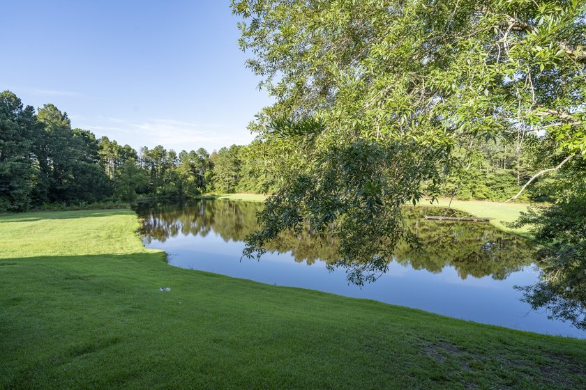 Located in Choctaw County, Alabama, Pushmataha includes 240+- - photo 29