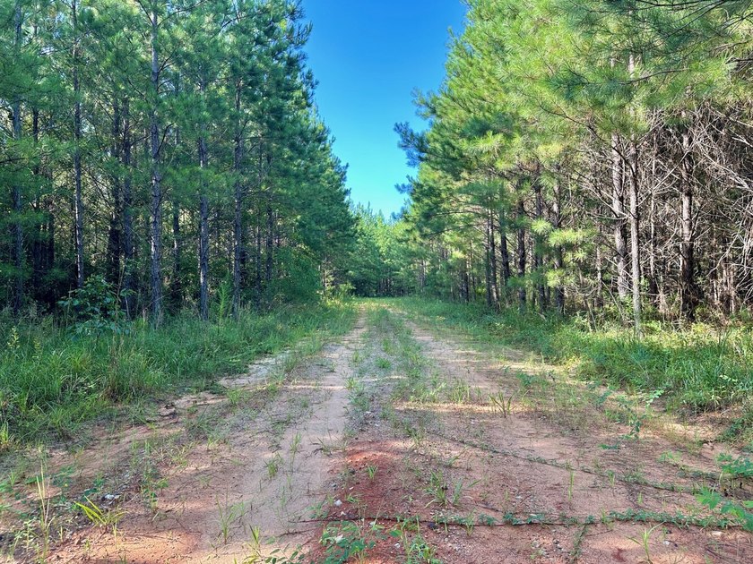 Located in Choctaw County, Alabama, Pushmataha includes 240+- - photo 30