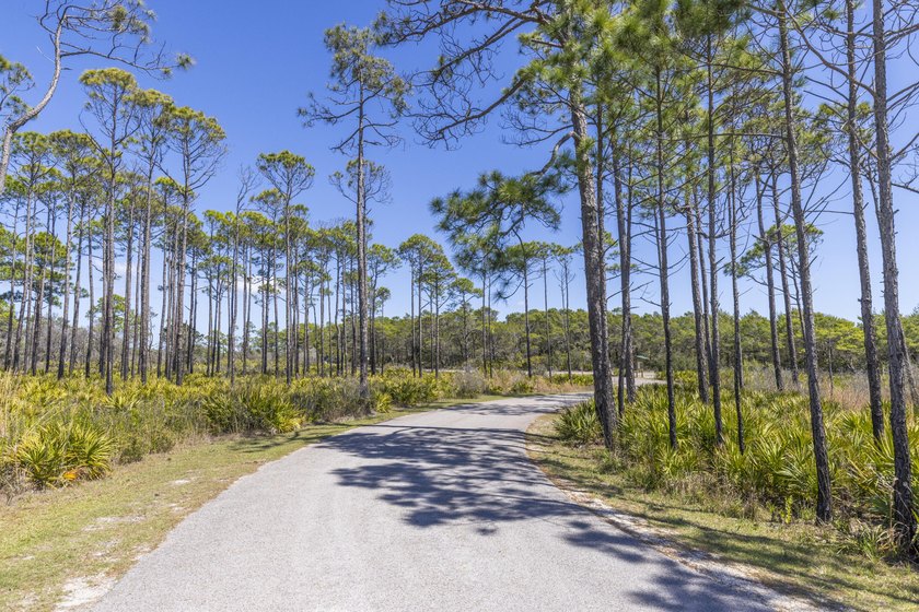 LOWEST PRICED UNIT in Tops'l in BOTH of the gulf front - photo 31