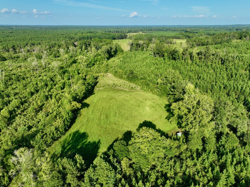 Located in Choctaw County, Alabama, Pushmataha includes 240+- - photo 31