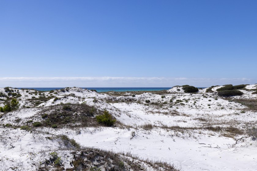 LOWEST PRICED UNIT in Tops'l in BOTH of the gulf front - photo 32