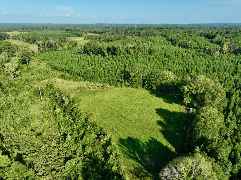 Located in Choctaw County, Alabama, Pushmataha includes 240+- - photo 32