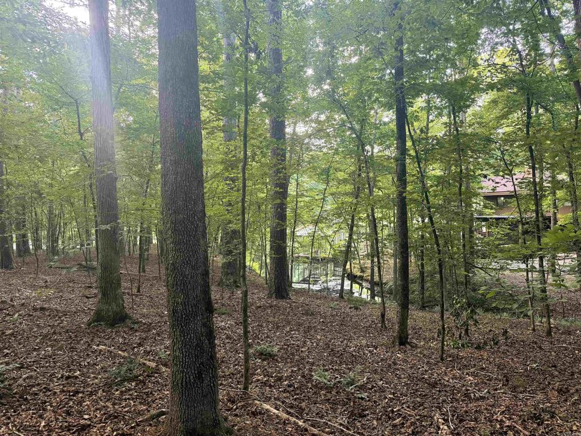 Rare Lake Cortez waterfront lot! Don't miss your opportunity for - photo 3
