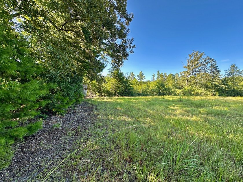 Located in Choctaw County, Alabama, Pushmataha includes 240+- - photo 33