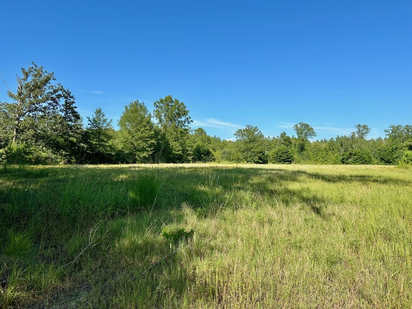 Located in Choctaw County, Alabama, Pushmataha includes 240+- - photo 34