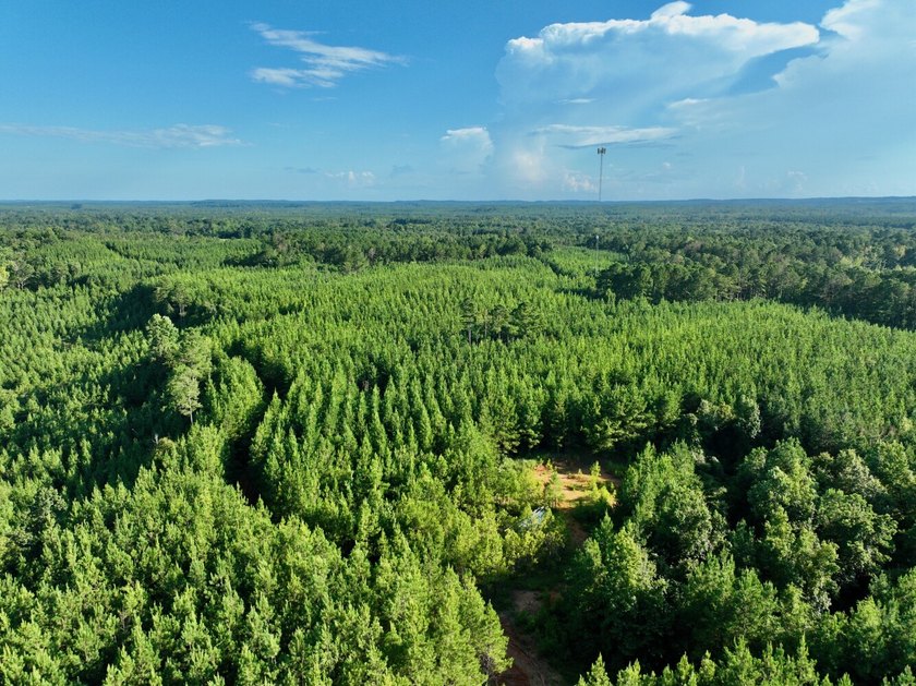 Located in Choctaw County, Alabama, Pushmataha includes 240+- - photo 35