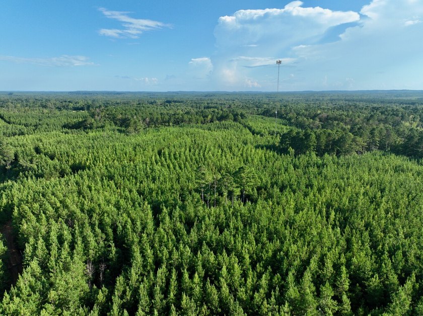 Located in Choctaw County, Alabama, Pushmataha includes 240+- - photo 36