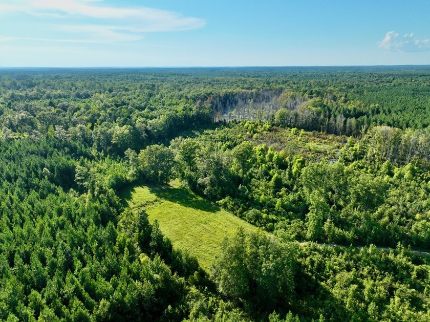 Located in Choctaw County, Alabama, Pushmataha includes 240+- - photo 37