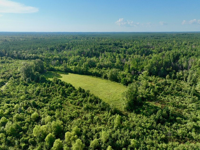Located in Choctaw County, Alabama, Pushmataha includes 240+- - photo 38
