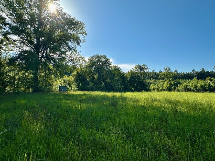 Located in Choctaw County, Alabama, Pushmataha includes 240+- - photo 39