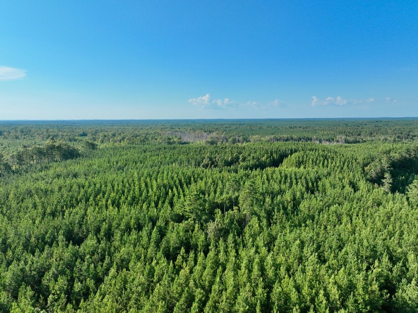 Located in Choctaw County, Alabama, Pushmataha includes 240+- - photo 40