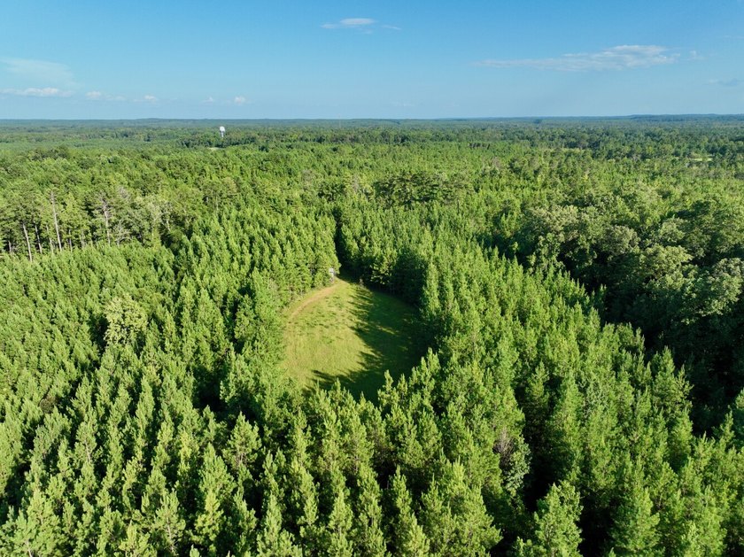 Located in Choctaw County, Alabama, Pushmataha includes 240+- - photo 41