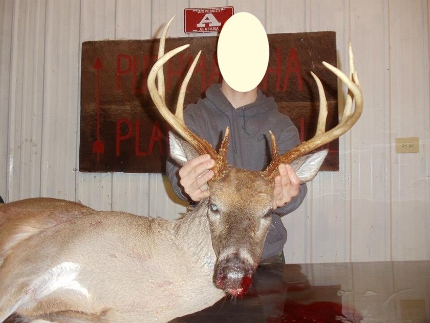 Located in Choctaw County, Alabama, Pushmataha includes 240+- - photo 43