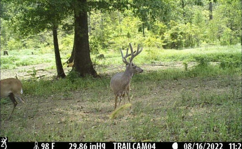 Located in Choctaw County, Alabama, Pushmataha includes 240+- - photo 46
