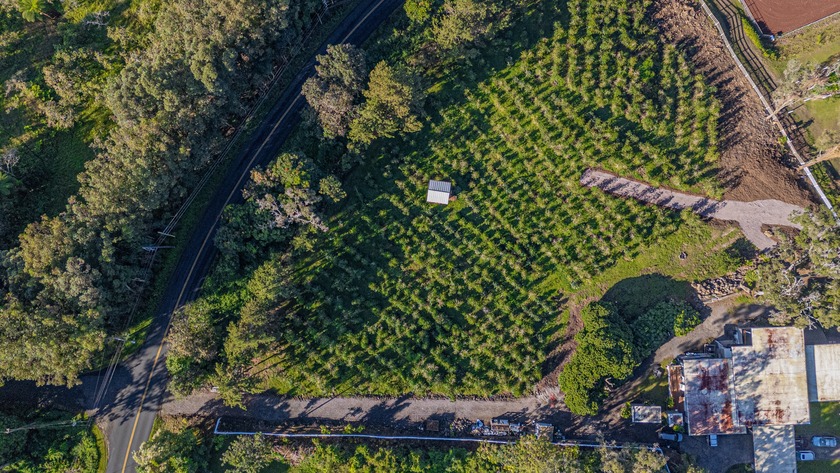 A rare opportunity to own a 1-acre ocean-view building site in - photo 3