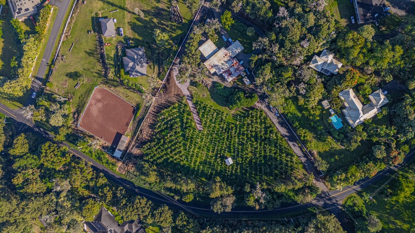 A rare opportunity to own a 1-acre ocean-view building site in - photo 7