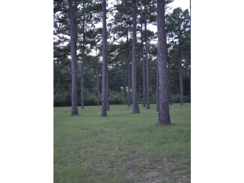 Nice, level, cleared 1 acres lot on Point A Lake. There is 125' - photo 4