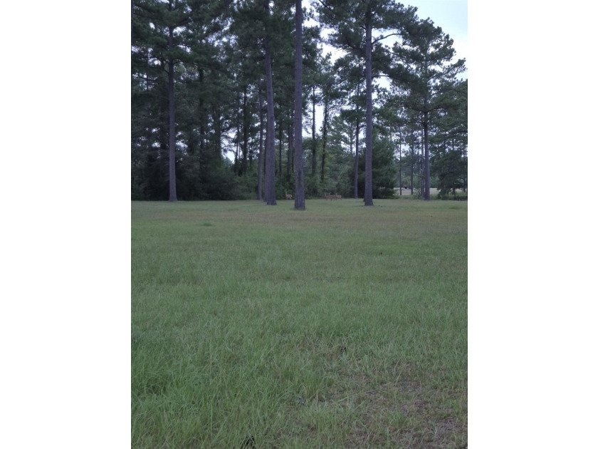 Level, cleared, and ready to be developed lot on Point A Lake - photo 3