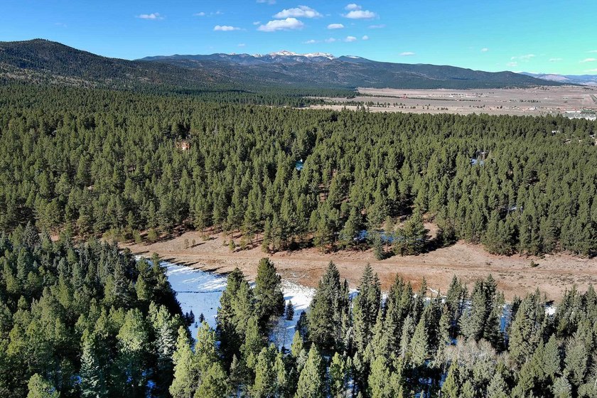 Located at the end of a quiet cul-de-sac, this homesite boasts - photo 12