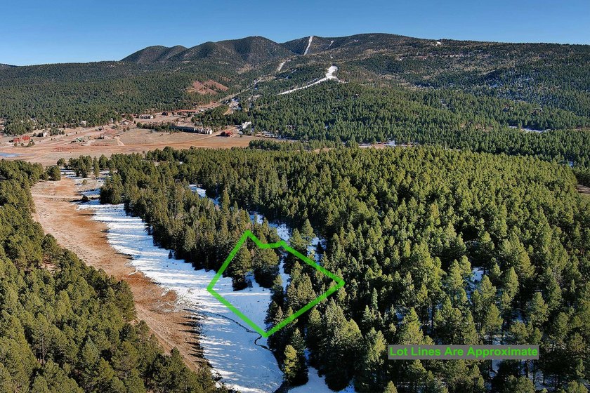 Located at the end of a quiet cul-de-sac, this homesite boasts - photo 14