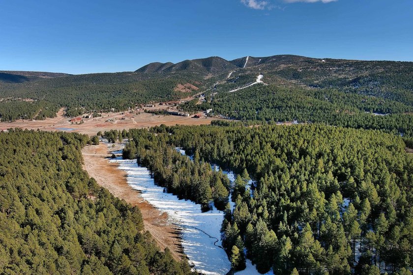 Located at the end of a quiet cul-de-sac, this homesite boasts - photo 15