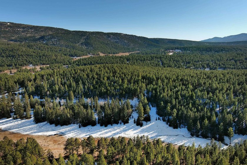 Located at the end of a quiet cul-de-sac, this homesite boasts - photo 16