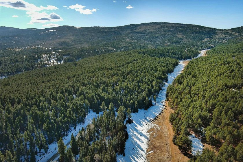 Located at the end of a quiet cul-de-sac, this homesite boasts - photo 17