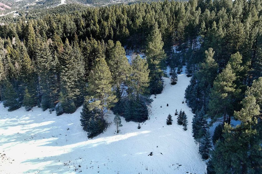 Located at the end of a quiet cul-de-sac, this homesite boasts - photo 22