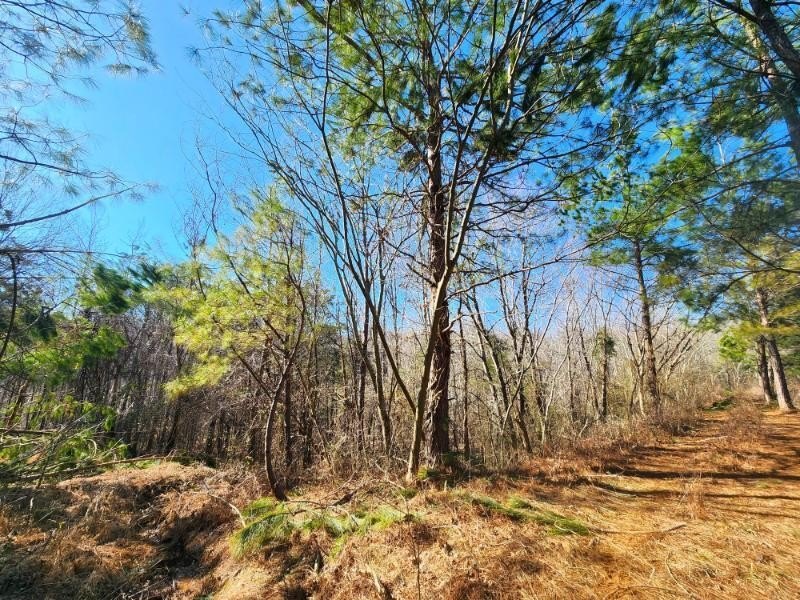 $330,000 - Nestled between Tupelo and Oxford in Pontotoc County - photo 6