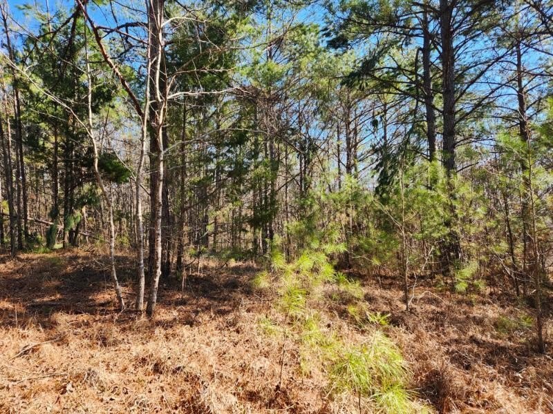 $330,000 - Nestled between Tupelo and Oxford in Pontotoc County - photo 7