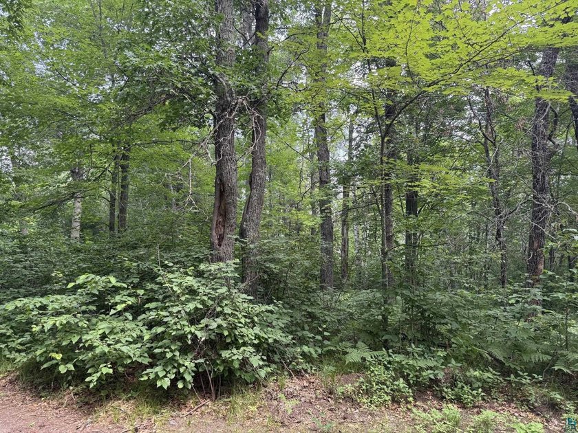 Nice wooded .39 acre lot on Hilltop Dr. in a desirable location - photo 3