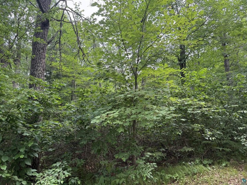 Nice wooded .39 acre lot on Hilltop Dr. in a desirable location - photo 4