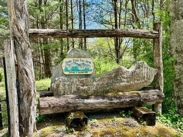 One of Pocahontas County's most magical settings, this - photo 7