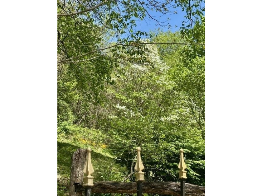 One of Pocahontas County's most magical settings, this - photo 8