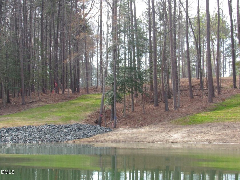 Discover 'The Pointe at Kerr Lake'. An exclusive pool community - photo 11