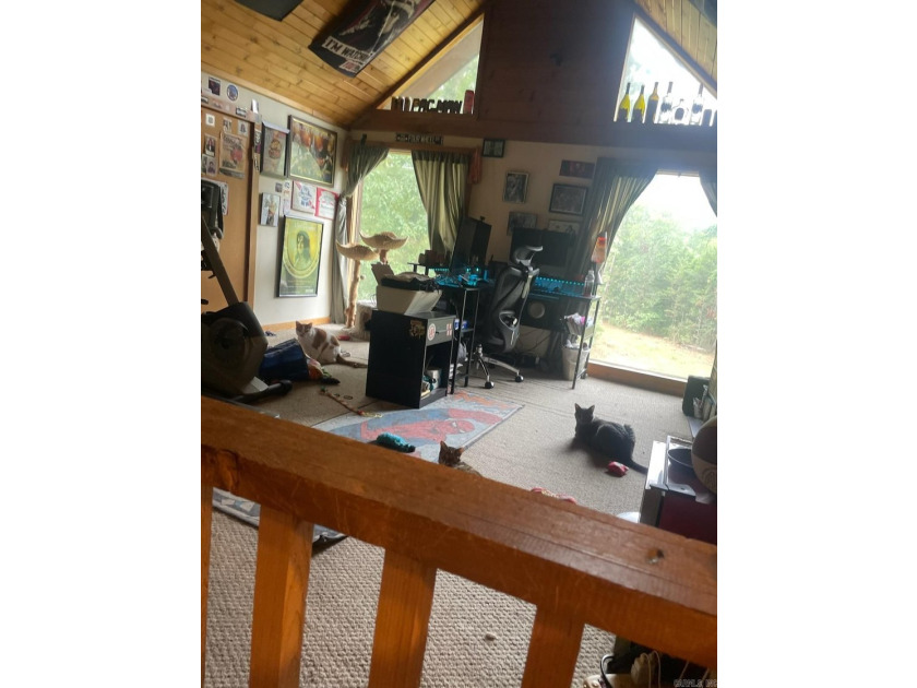 Your very own Cabin near the Lake! Nearby Neighborhood Access to - photo 10