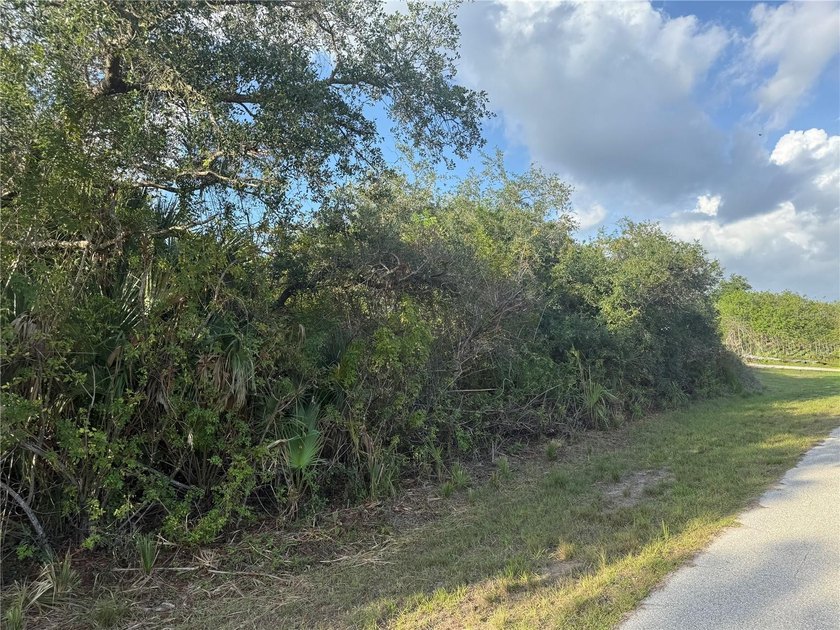 11996 Gladiola Ave, Englewood, FL 34224 Opportunity awaits in - photo 6