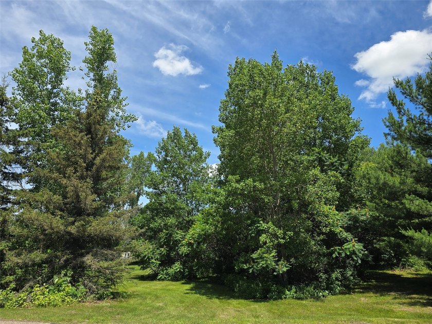 Rare real estate opportunity near LAKE WISSOTA! Build your dream - photo 12