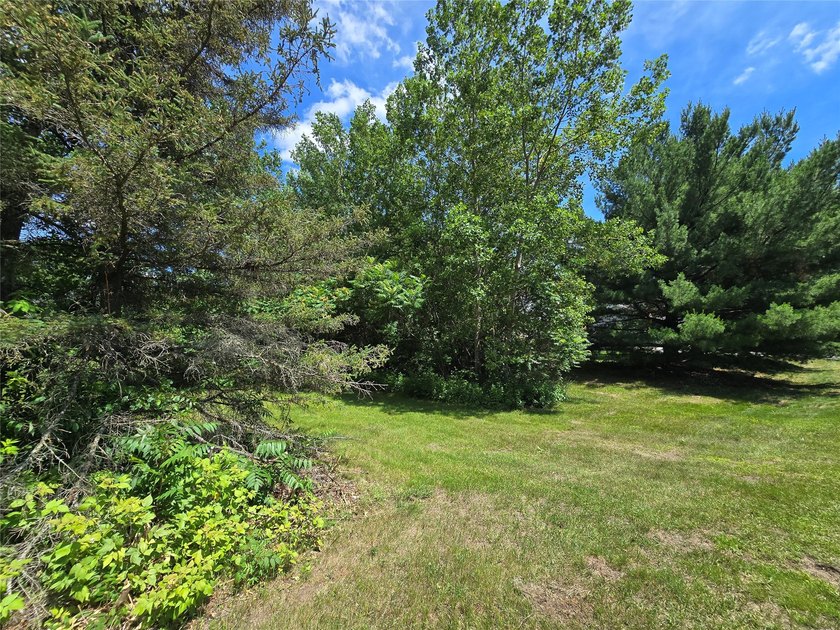 Rare real estate opportunity near LAKE WISSOTA! Build your dream - photo 14