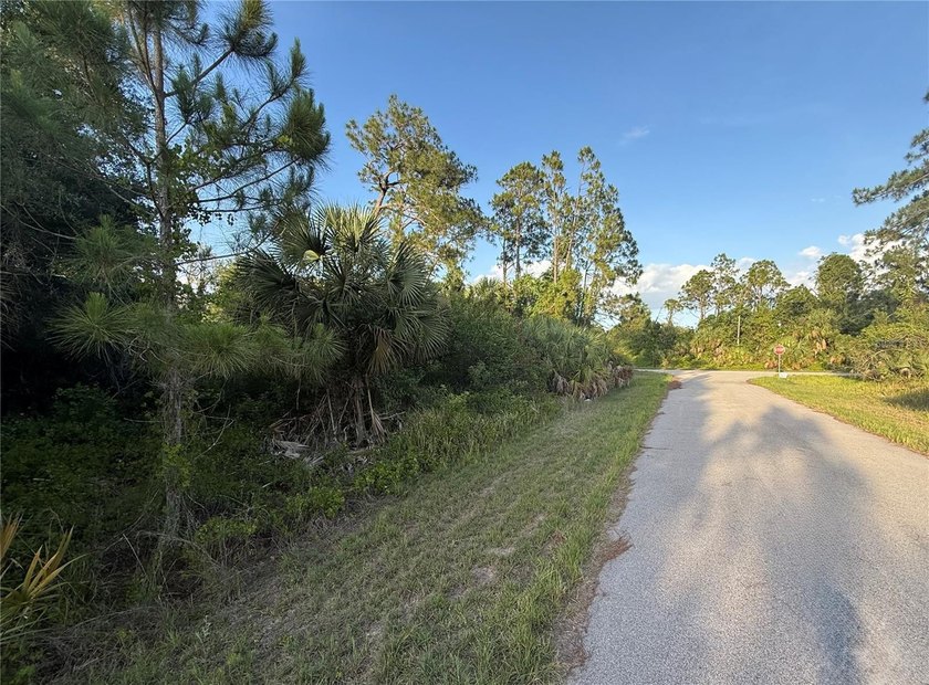 Discover the possibilities in the growing rural area of - photo 6