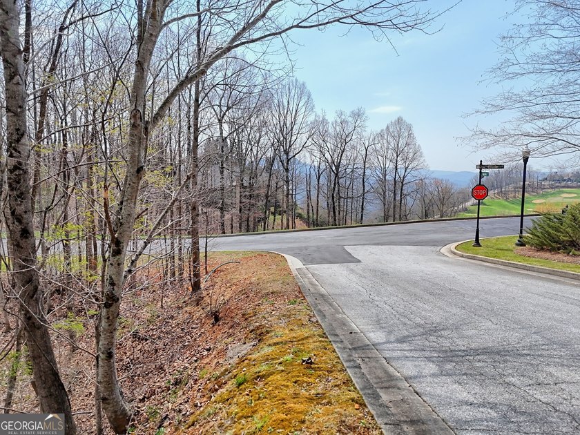 Welcome to Lot 15 Waterfall Drive-an exceptional 0.93-acre - photo 3