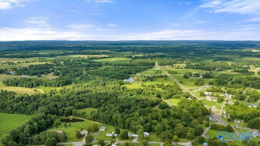OPEN HOUSE SUN 7/12 2-4Refreshment Magnificent Contemporary 4+BR - photo 44