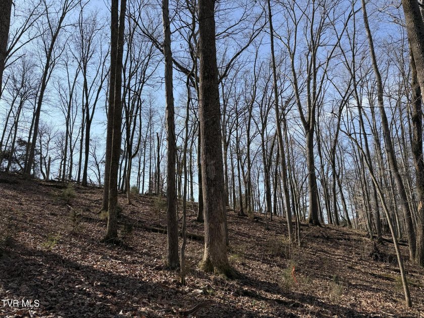 Discover the perfect blend of privacy, scenic beauty, and - photo 11