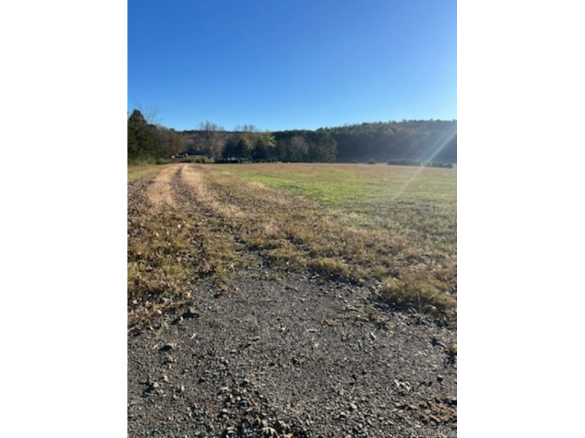 Great property with pond ready for livestock or homestead!! - photo 6