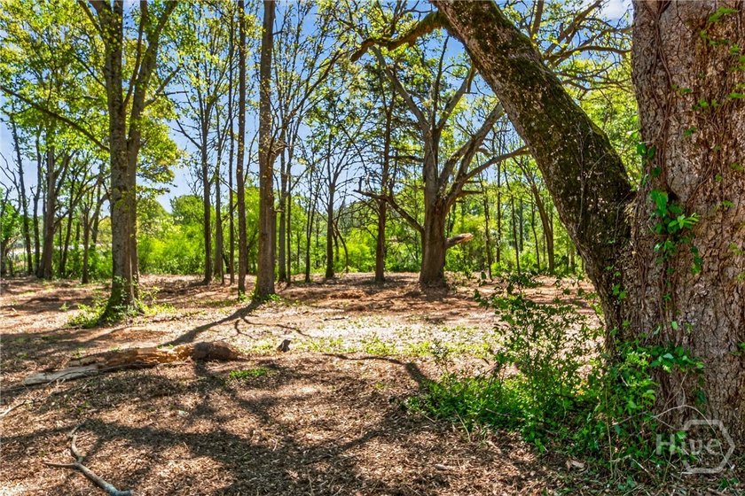 Don't miss this opportunity to own 2 beautiful acres in - photo 36