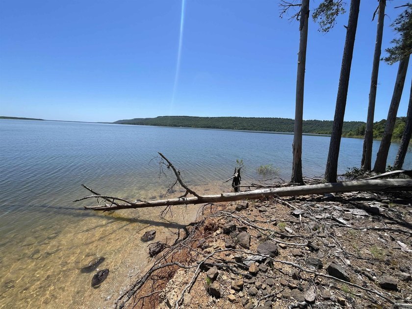 Come checkout this Furnished Lakefront Log cabin with stunning - photo 6